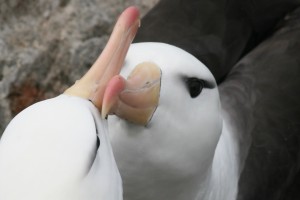 Klik hier voor meer...